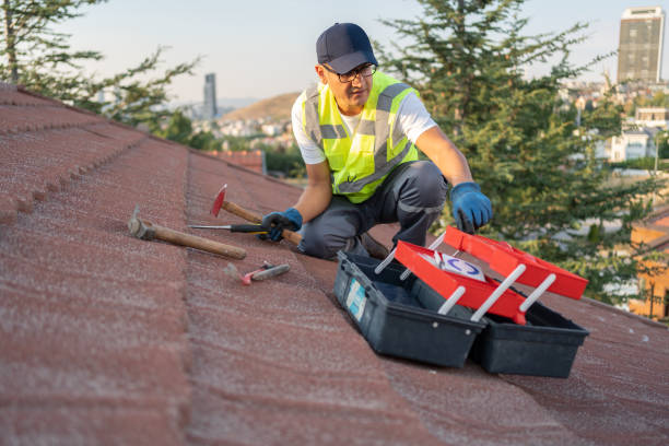 Best Storm Damage Siding Repair  in Provo, UT